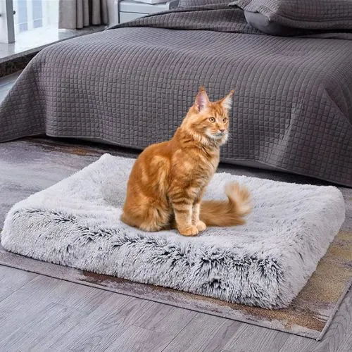 coussin pour chat orthopédique