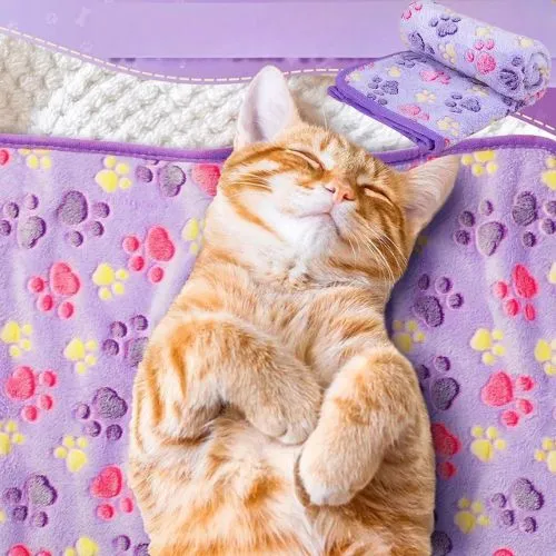 couverture chat douce patte