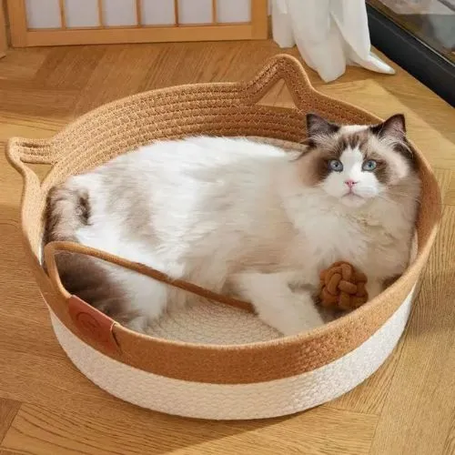 panier chat osier oreilles