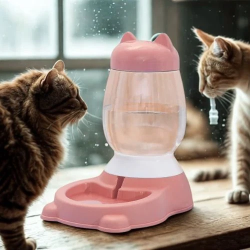 distributeur eau et croquettes pour chat oreilles