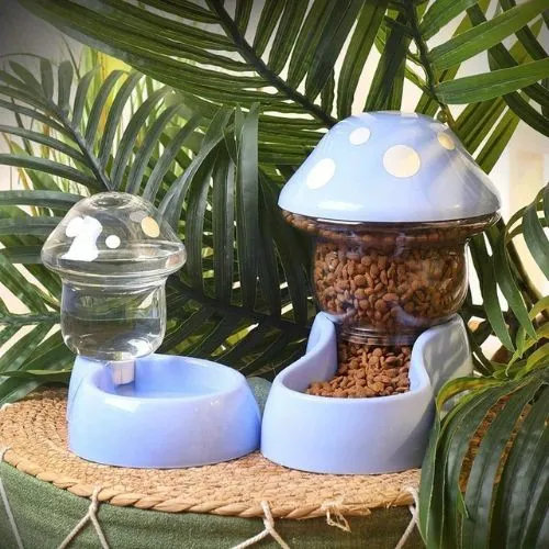 distributeur de croquettes et eau champignon