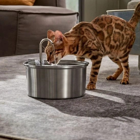 fontaine à eau chat | EAU FRAICHE