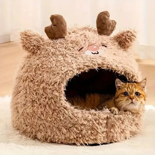grotte chat | DODO'ANIMO