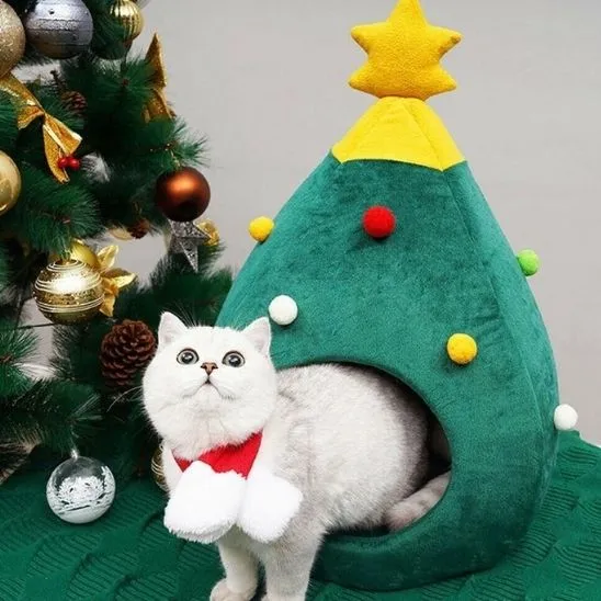 grotte chat | DODOSAPIN