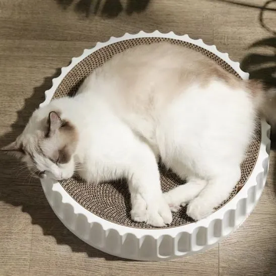 griffoir à chat | GRIFF'ROND