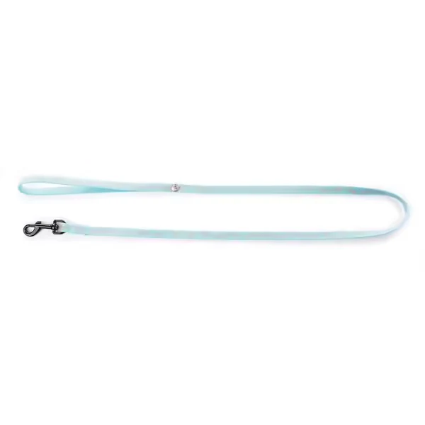 Laisse fluo fish