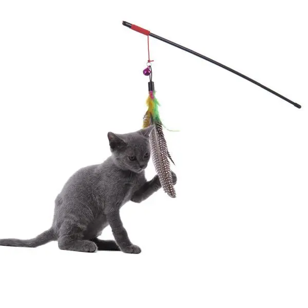 Canne à Pêche pour Chat à plume PLIMO