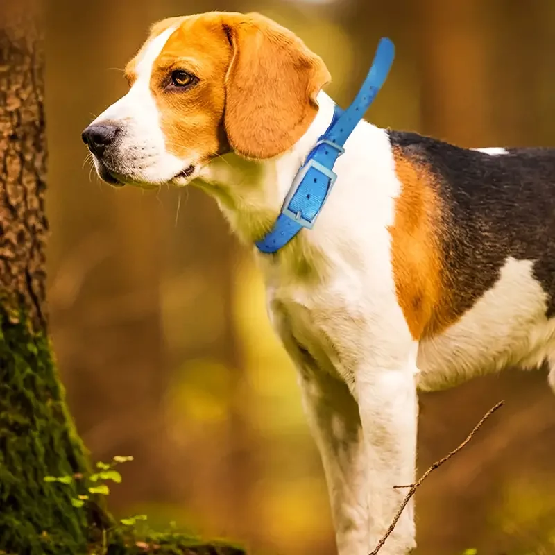 Collier en TPU imperméable pour grand chien