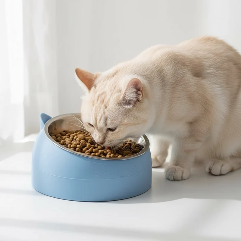Gamelle Chat Surélevée - ErgoBowl