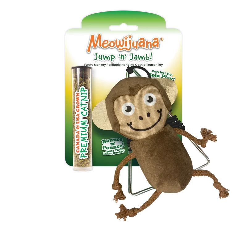Meowijuana - Singe avec Herbe à Chat