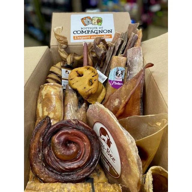 Boîte de Mastication Surprise pour Moyens à Grands Chiens