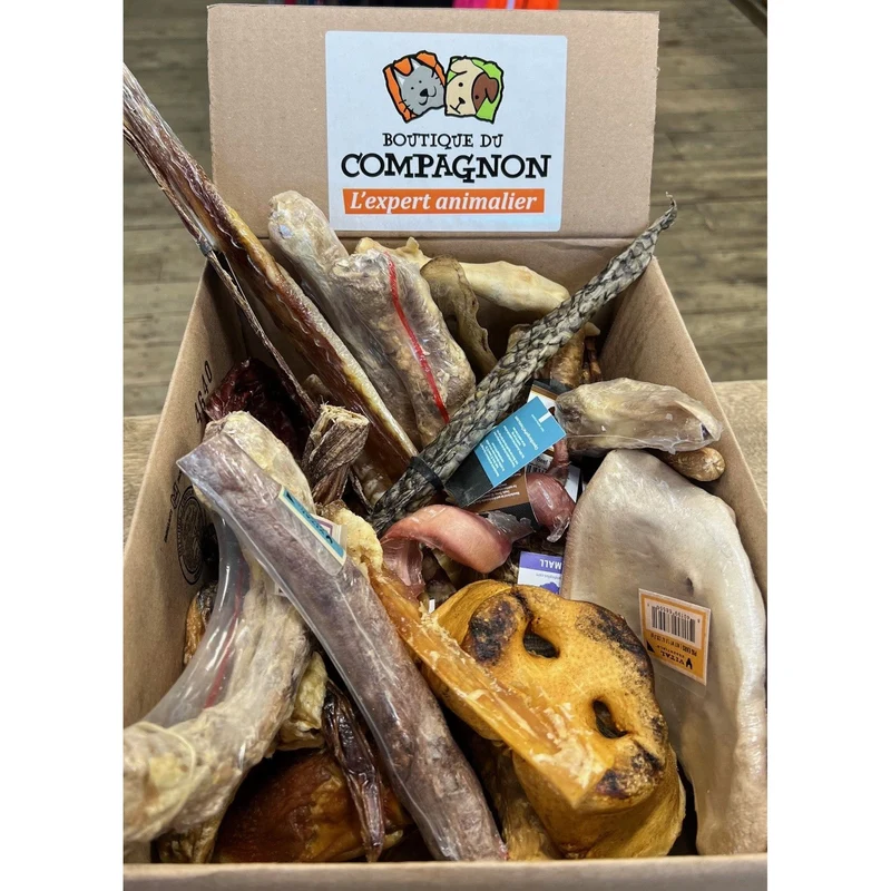 Boîte de Mastication Surprise pour Petits Chiens