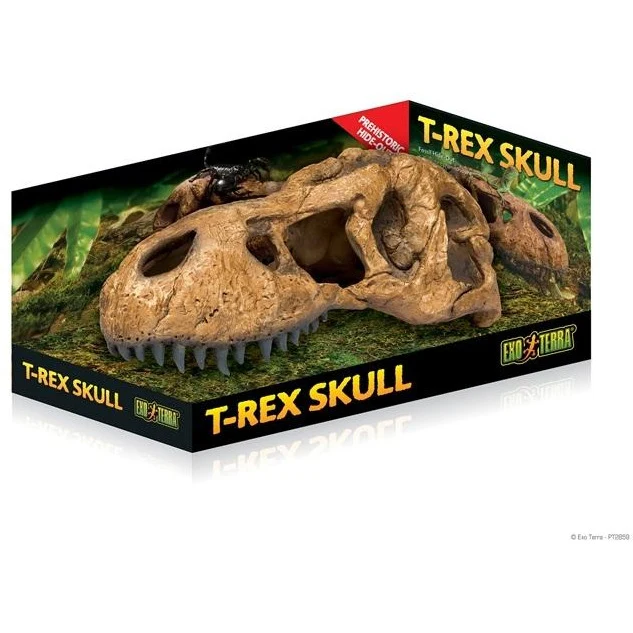 Exo Terra T-Rex Skull Fossil Hide Out