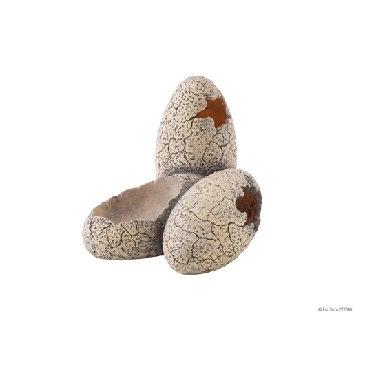 Exo Terra Dinosaur Eggs Hideout and Bowl