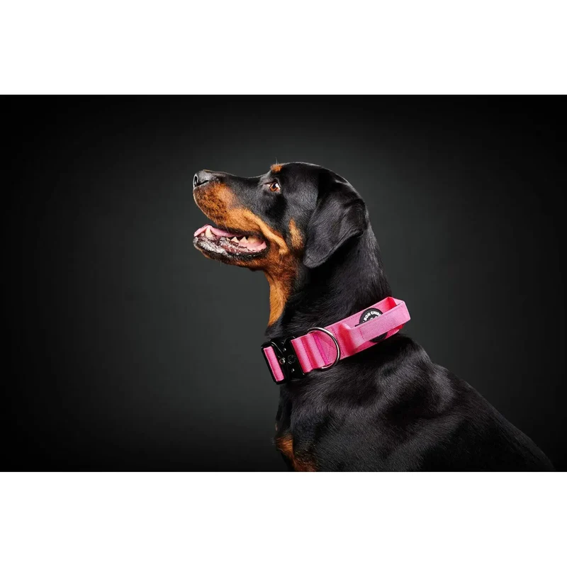 Collier Tactique avec Poignée Le Bon Chien