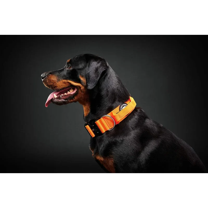 Collier Tactique avec Poignée Le Bon Chien