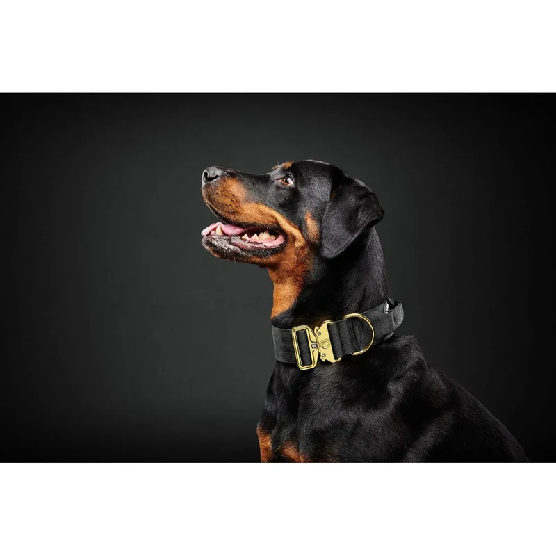 Collier Tactique avec Poignée Le Bon Chien