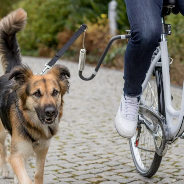 Ensemble de Vélo en Forme de U pour Grand Chiens Trixie