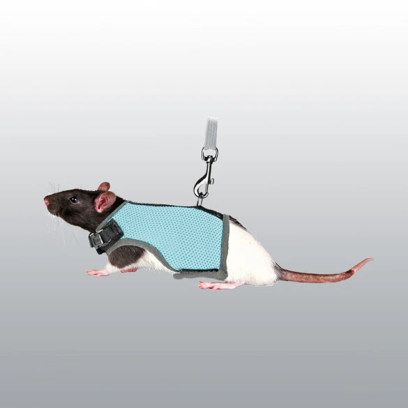 Harnais Soft avec laisse pour rat