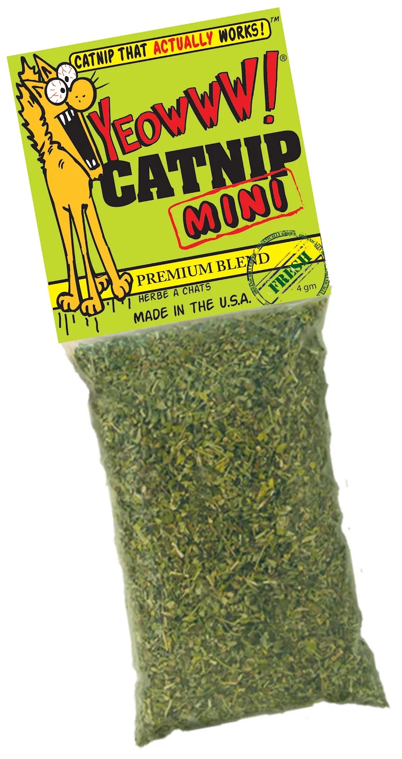 Ducky World - Sachet d'Herbe à Chat, 4 g
