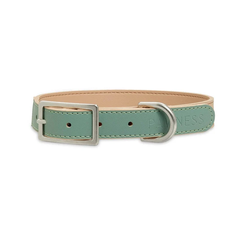 Collier végan pour chien très original