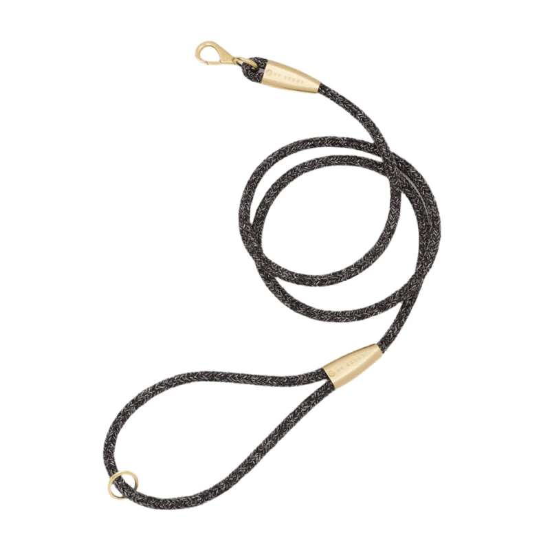 Laisse pour chien en corde - EVERY