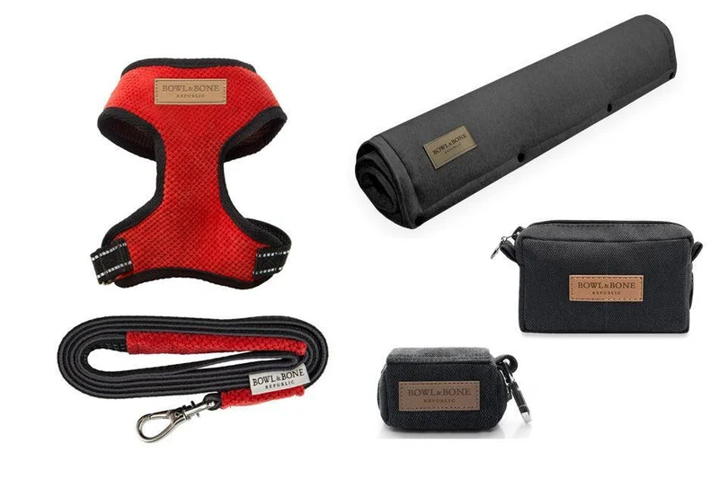 Pack complet de balade pour chien