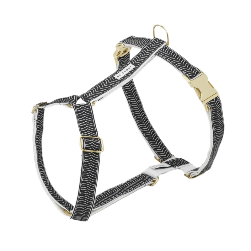 Harnais pour chien en H - HEY SCOUT