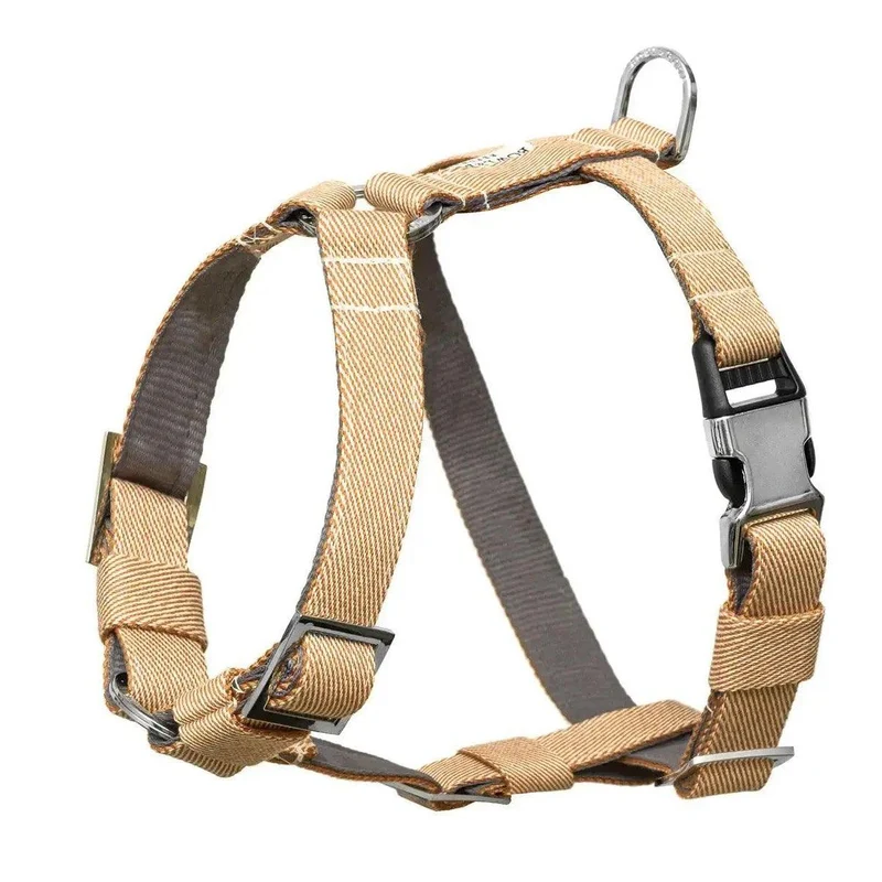 Ensemble de promenade pour chien - BREEZE