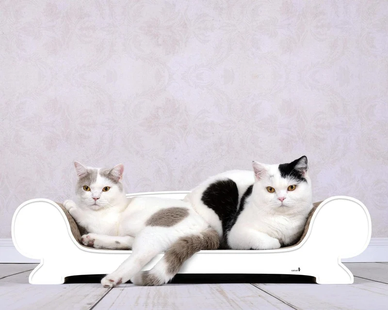 Griffoir relax pour chat - VERTIGE