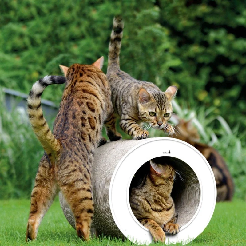 Tunnel en carton pour chat - LE TUBE