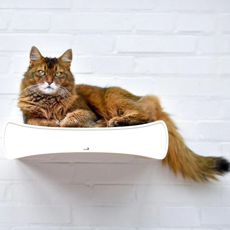 Griffoir mural pour chat - LE PLATEAU