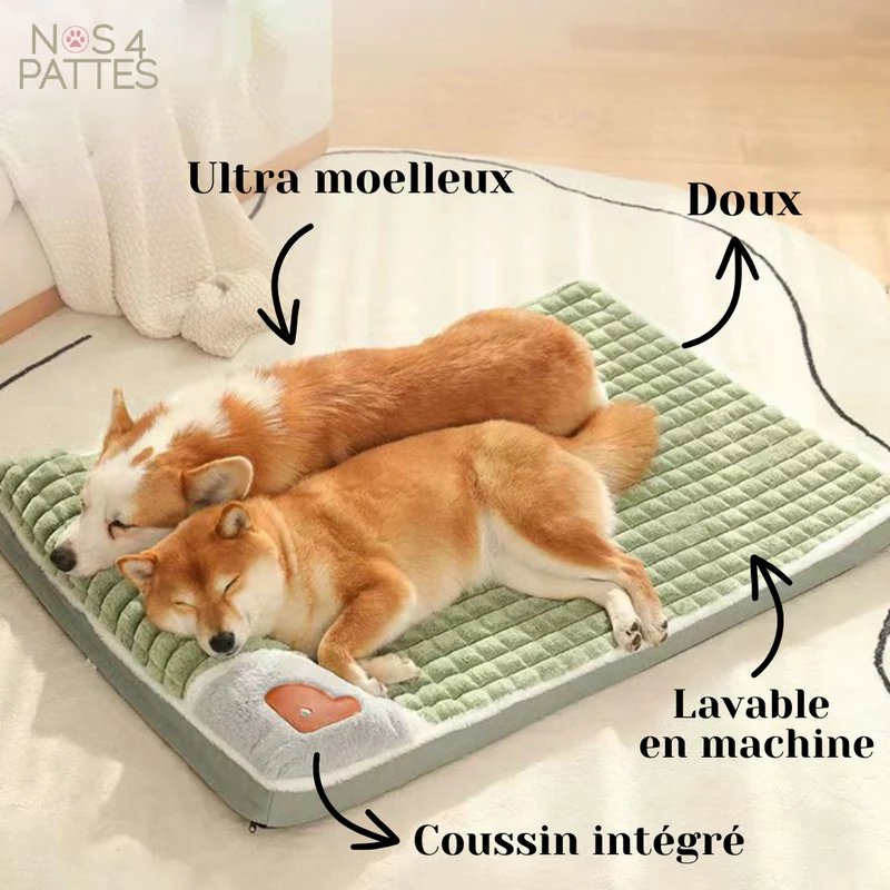 Lit orthopédique anti-stress pour chien et chat – soutien cervical