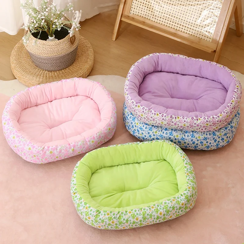 Coussin chat - SoftDream™