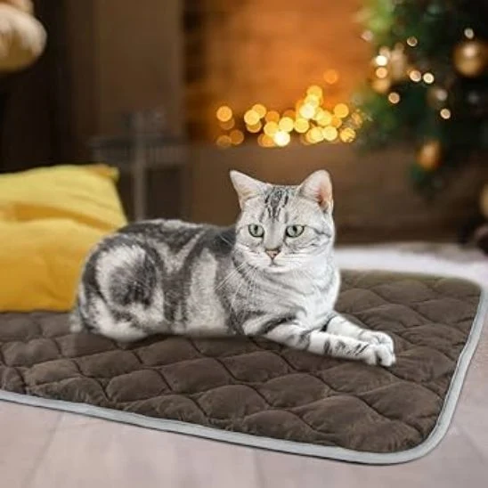 Tapis chat - KittyCush™