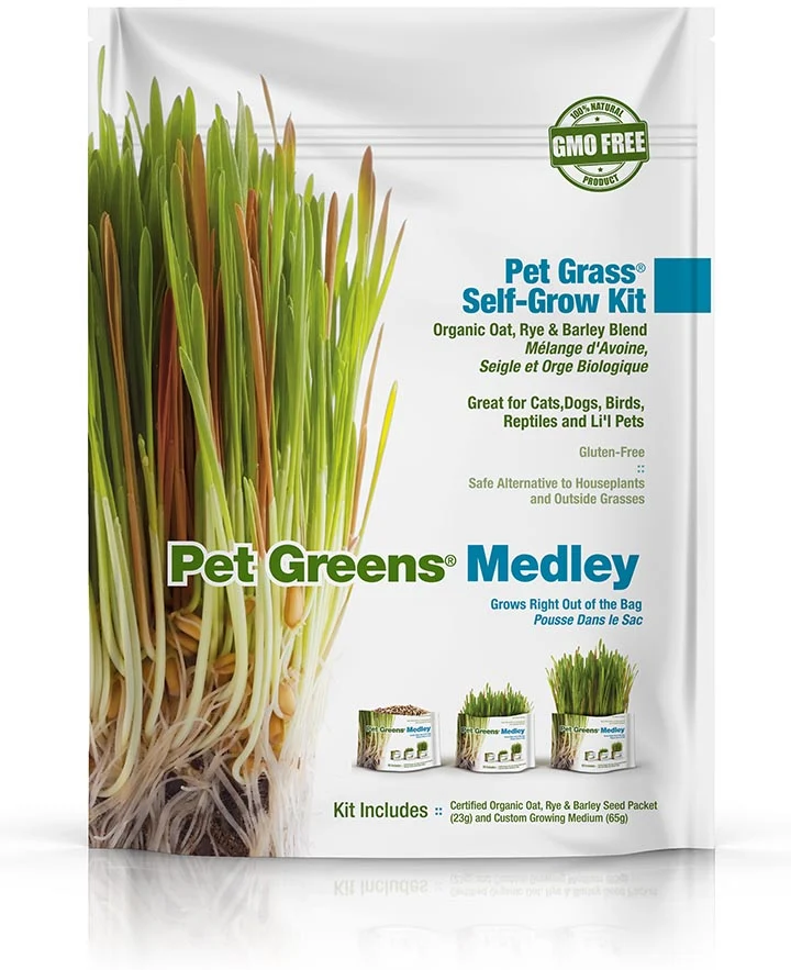 Bell Rock Growers - Ensemble pour Herbes Maison (Self Grow Kits) - Chat