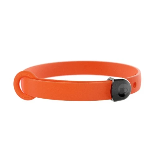 Nuvuq Collier ajustable pour mini chien, Orange tangerine