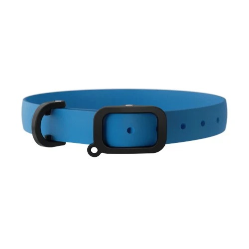 Nuvuq Collier ajustable pour chien, Bleu bleuet