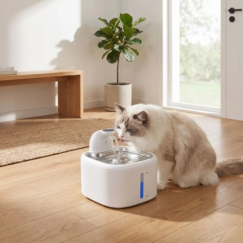 FONTAINE A EAU CHAT SANS FIL | AquaMove