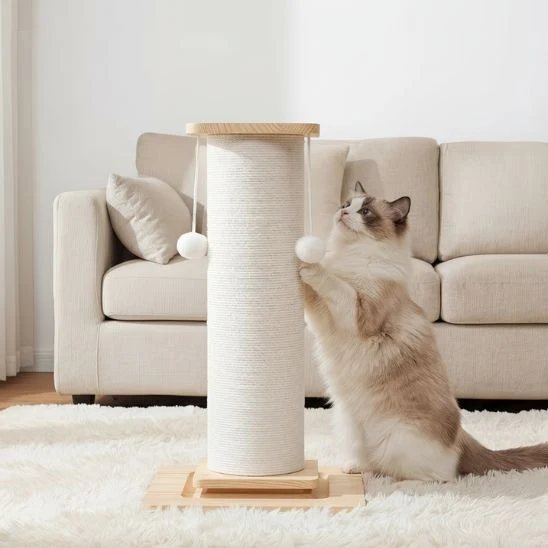 ARBRE A CHAT POTEAU | La tour à Chat Bois