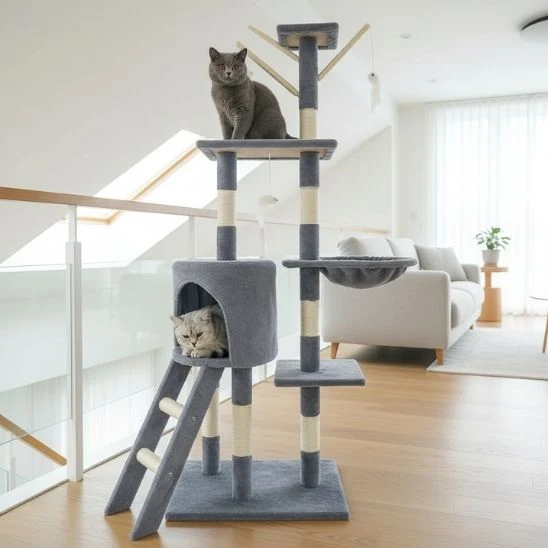 ARBRE A CHAT | L’Explorateur Vertical