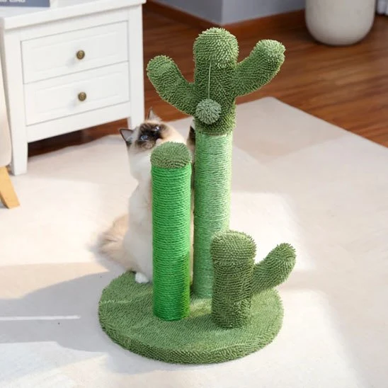 Arbre à chat cactus