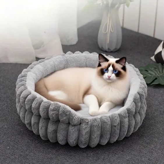 Coussin pour chat - CalmiPaw™
