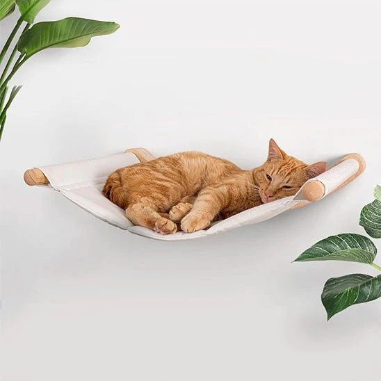 Hamac chat - CatHaven™