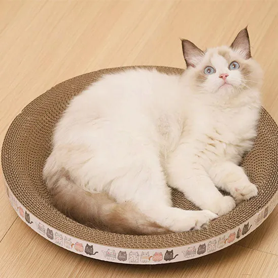 Griffoir rond pour chat | Le Nid à Griffes