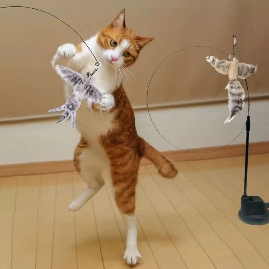 Jouet oiseau pour chat | Oiseau Farceur