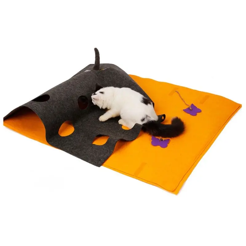 Tapis de Jeu pour Chat Multifonction