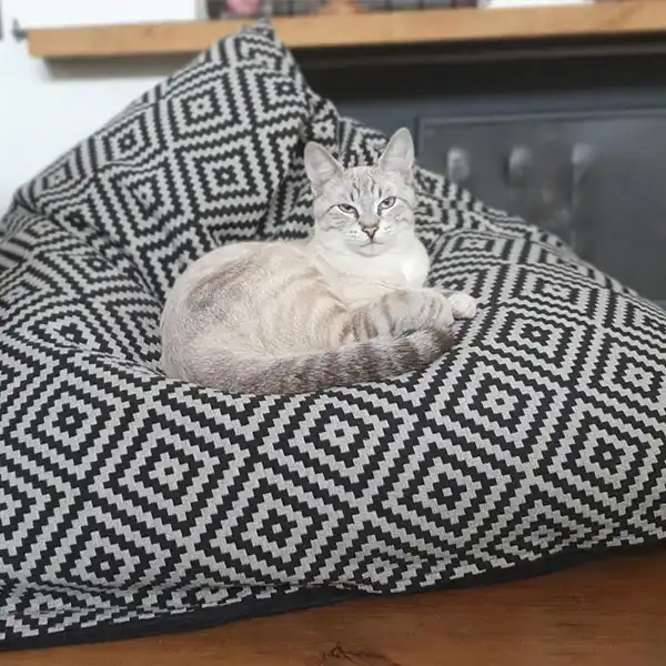 Couchages Chats Design - Pouf Berlingot -