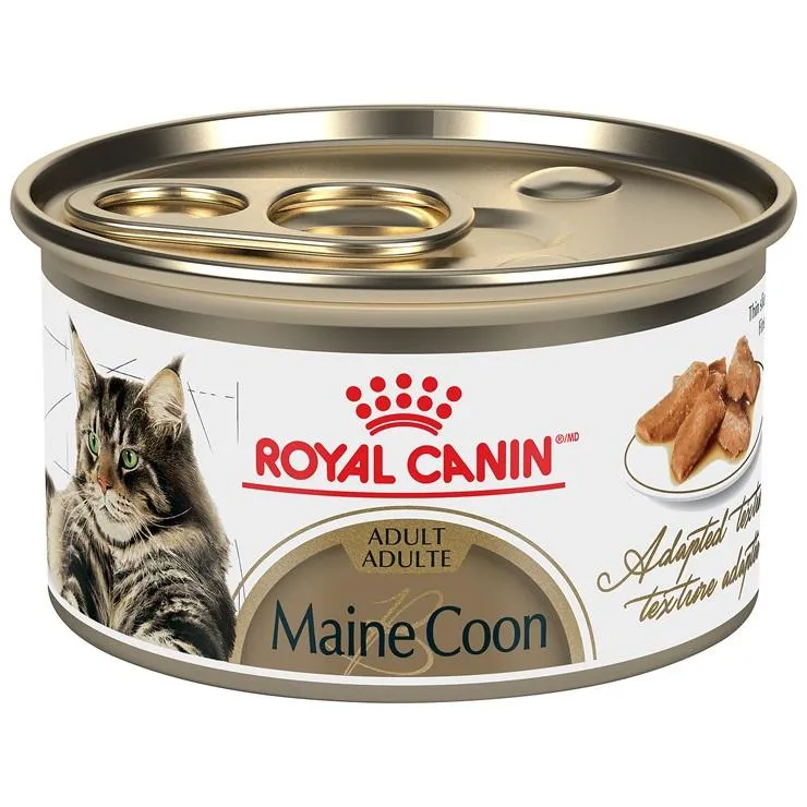 Conserve pour chat Royal Canin -Caisse de 24- Fines tranches en sauce MainCoon