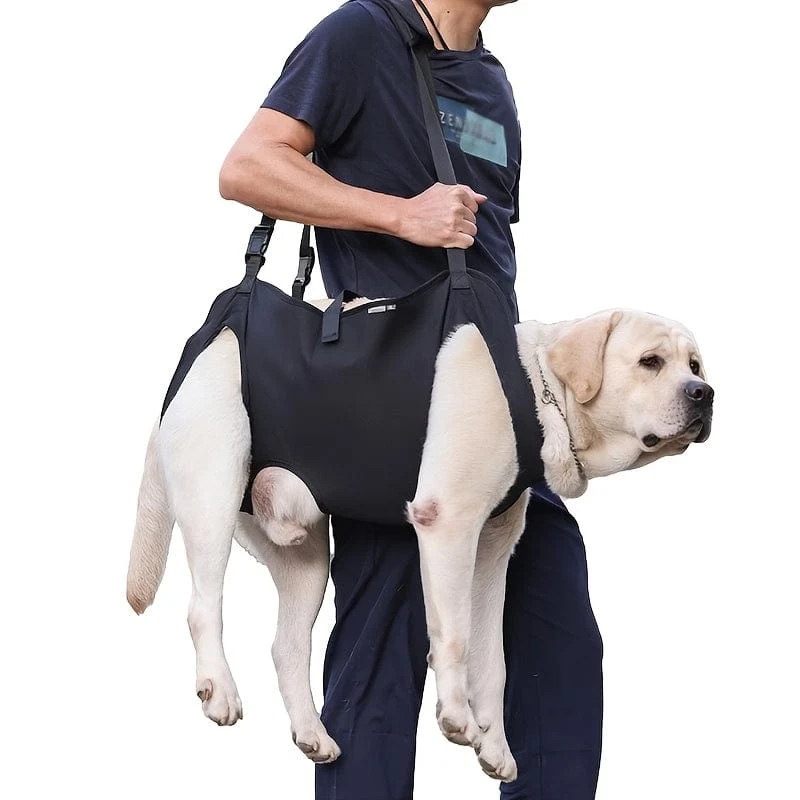 Harnais de soutien pour chien – assistance mobilité et transport